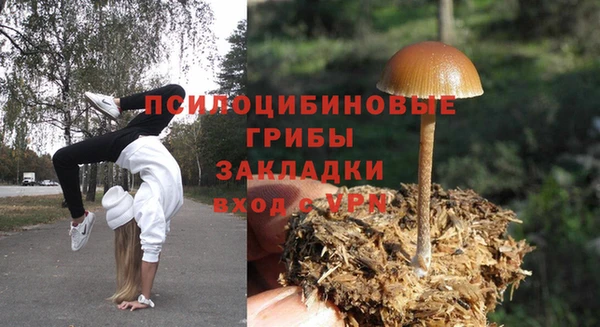 PSILOCYBIN Богородицк