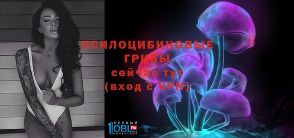 PSILOCYBIN Богородицк