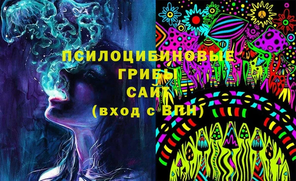 спайс Богданович